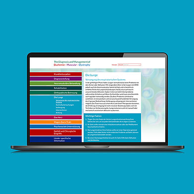 DMD Guide Website Laptop-Ansicht