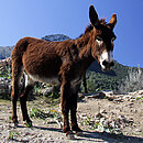 Can Perla & Can Jordi