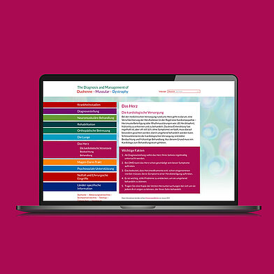 DMD Guide Webseite Laptop